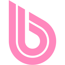 BWT Logo